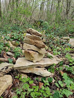 Un kairn, que nous avons créé dans la forêt de Chizé. C'est une marque de notre passage.
