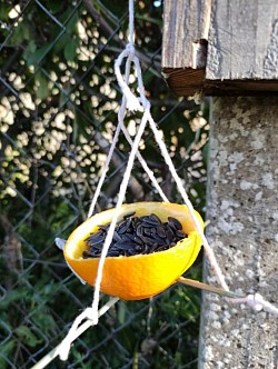 Organisé par mes soins : mangeoire à oiseaux à base d'orange. Les enfants ont beaucoup aimé, nottament le jus d'orange que nous faisions en même temps !